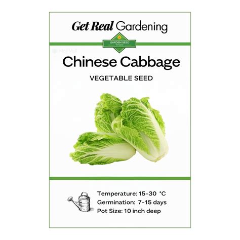 Chinese Cabbage Seeds - High Yield & Disease Resistant – Moji Mall