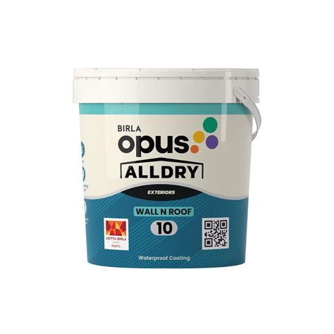 Birla Opus Alldry Wall n Roof 10 | 10-Year Waterproofing Solution with ...
