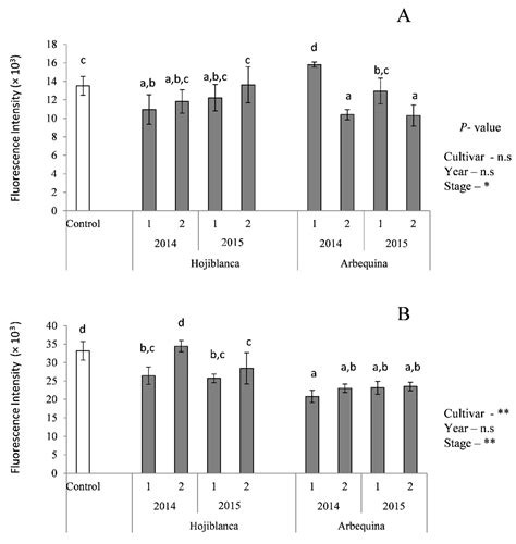Antioxidants In Spanish Translation at Oscar Godson blog