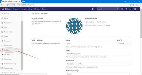 GitLab SSH Key Custom Instance 的图像结果