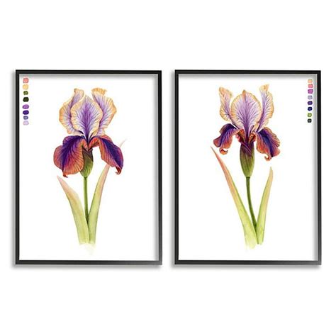 Stupell Home Decor Orange Purple Iris Flower Framed Wall Art 2-piece Set
