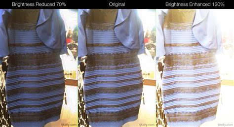 The dress is black & blue, but here's why you can't tell - TJ Kelly