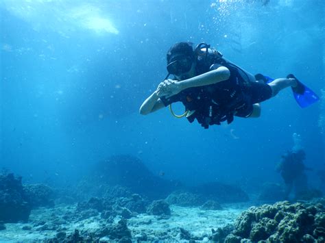 How I fell in love with the ocean | Condé Nast Traveller India | India ...