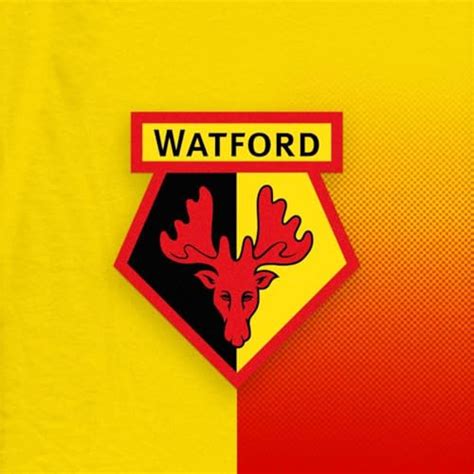 E14: Ed Still and Edoardo Bove react to Wrexham triumph | Watford FC ...