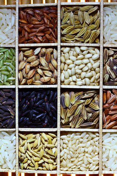 Difference Between HYV Seeds and Traditional Seeds | Compare the ...