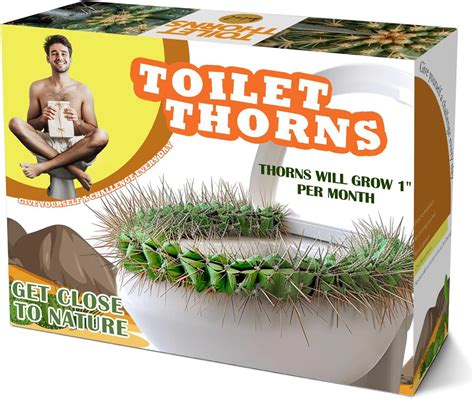 Amazon.com: gagift world Prank Gift Box, 11X9IN Funny Toilet Thorns ...