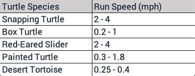Image result for How Fast Is a Snapping Turtle