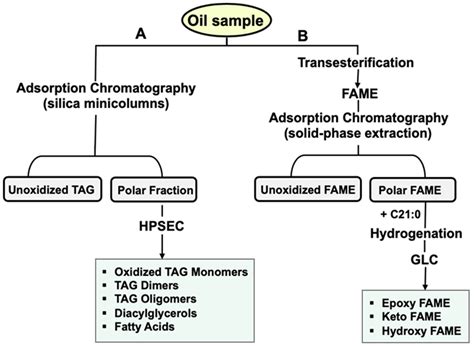 Depolymerization and Oxidation Events in Used Frying Oils Under ...