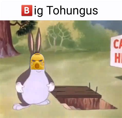 Big chungus has low meme potential : r/bioniclememes