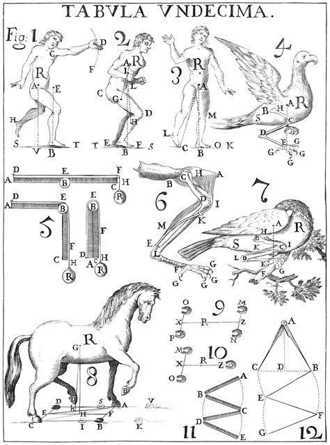 The Human Body and Flight : Why We Can’t Fly — On Verticality