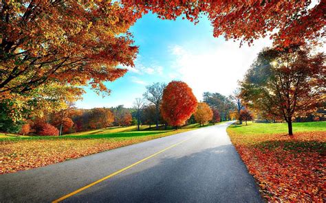 Image result for Autumn Homework EYFS