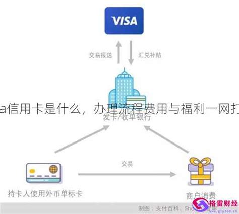 VISA信用卡能在国内用吗？有什么限制吗？ - 用卡攻略 - 老侯说支付