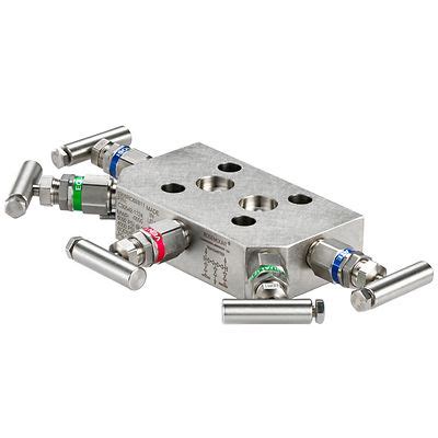 Rosemount 305 Integral Manifold | Emerson IN