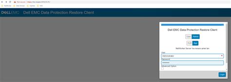 Image result for Dell Networker SQL Backup