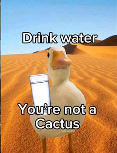 Hydration Memes