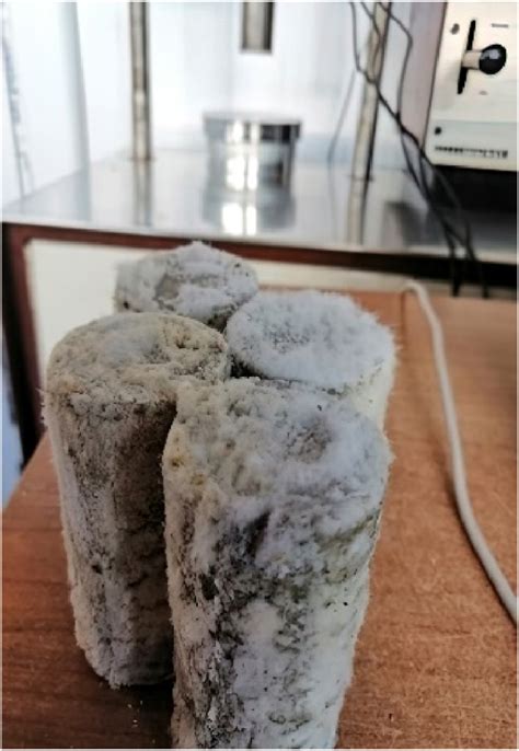 Image result for Microscopy Crystallization