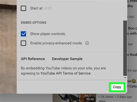 YouTube Embed Code 的图像结果