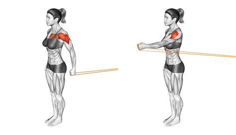 Is Icy Hot Good For Shoulder Tendonitis at Frances Goss blog