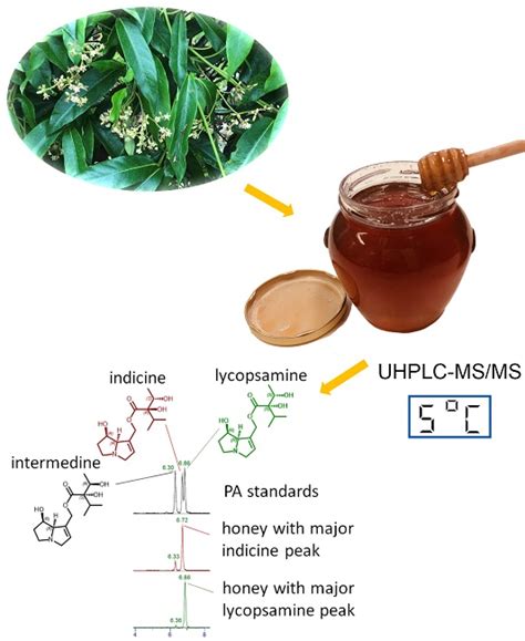 Analysis of Pyrrolizidine Alkaloids in Queensland Honey: Using Low ...