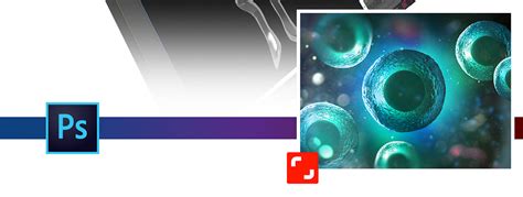 Image result for Adobe Media Encoder Install