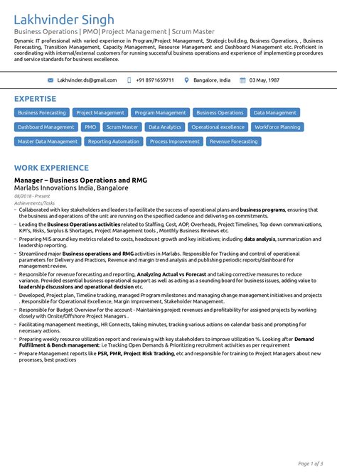 Resume Sample - Best Resume Writing Services Delhi India| Best CV ...