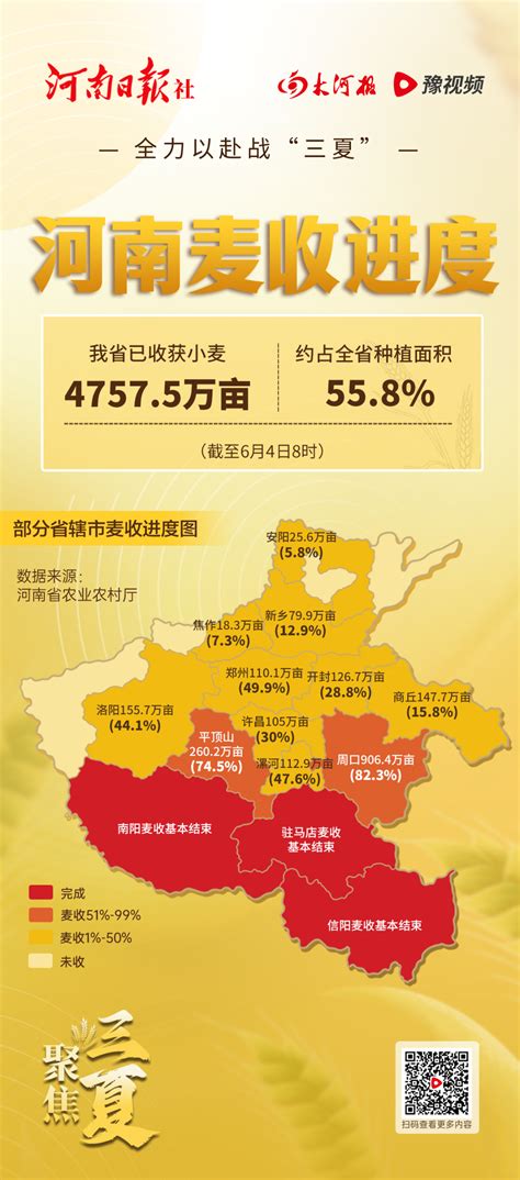 麦收快讯！河南已收获小麦4757.5万亩，进度约55.8%！-大河新闻
