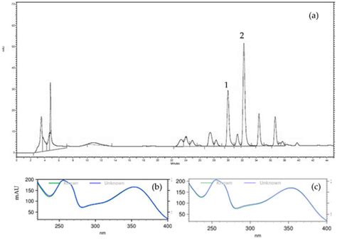 Hydroethanolic Extract of Morus nigra L. Leaves: A Dual PPAR-α/γ ...