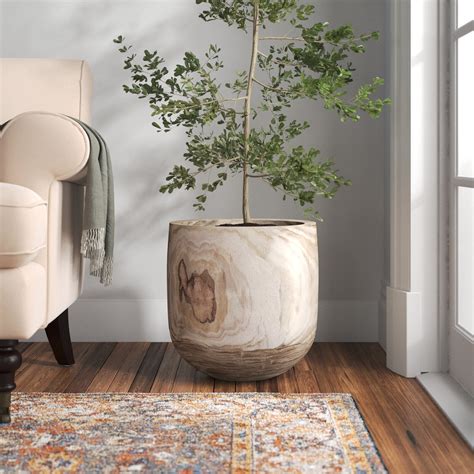 Large Indoor Plant Pots | Foter
