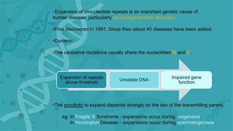 Triple Nucleotide Repeat Abnormality | PPTX | Genetics | Science