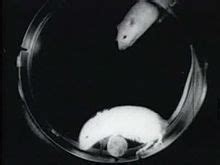 Image result for Alien 1979 Dinner Table