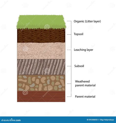 Soil Horizons 4.3 Soil Profiles And Horizons | Soil Genesis And