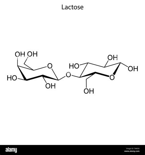Lactose Structure