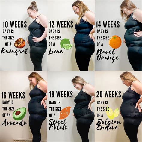 Plus Size Pregnancy 20 Weeks