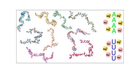 RNA Chain 的图像结果