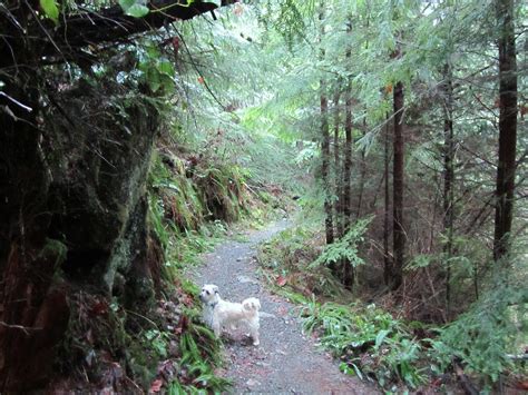 My Pacific Northwest: Lime Kiln Trail - Granite Falls
