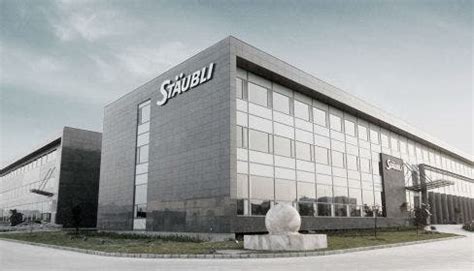 Staubli Tutorial 的图像结果