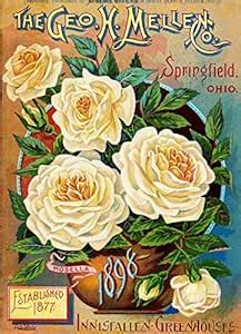 TYmall Wall Art 1898 Mellen Rose Vintage Flowers Seed Packet Catalogue ...