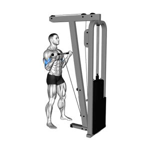 Image result for Cable Curl Workout