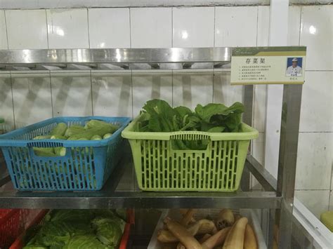 在农村修建一座蔬菜保鲜库造价_上海雪艺制冷科技发展有限公司