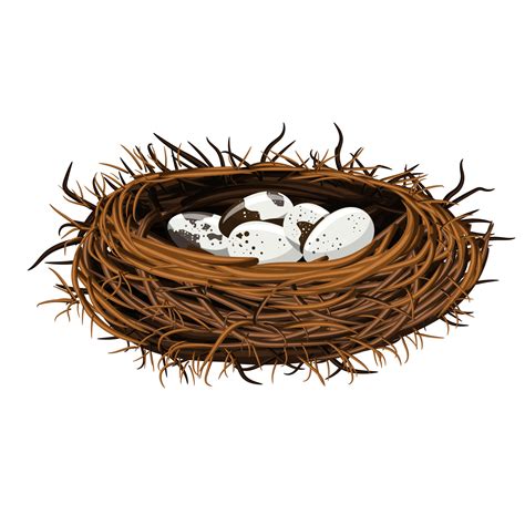 Bird Nest Vector Hd Images Beautiful Bird Nest Clipart Nest Clipart | My XXX Hot Girl