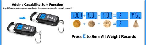 Lyrovo Upgraded Digital Luggage Weighing Scale 110Lb/50Kg with Backlit ...