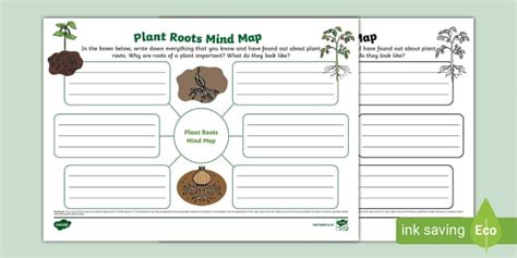 Plant Roots Mind Map