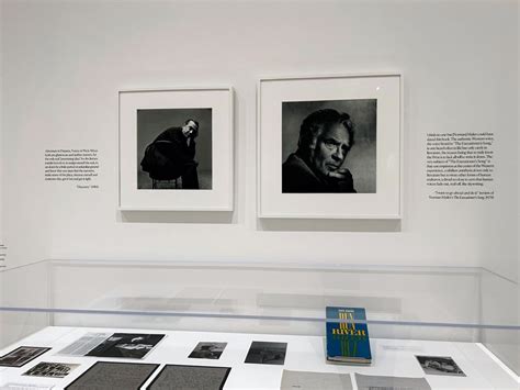 Museum Labels - Dry Transfer Letters - Free Shipping