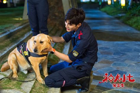 【FULL】Hero Dog Season 3 EP01 | 神犬小七3 | Jo Jiang 姜潮, Cecilia Boey 宋妍霏 ...