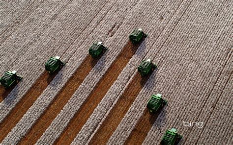 Field 图片 的图像结果