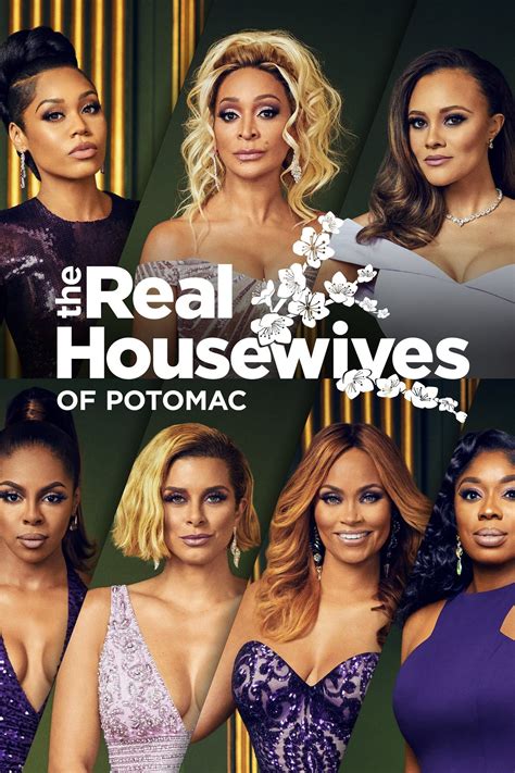 Robyn Dixon Confirms She's Fired From 'RHOP' and Shades Co-Star
