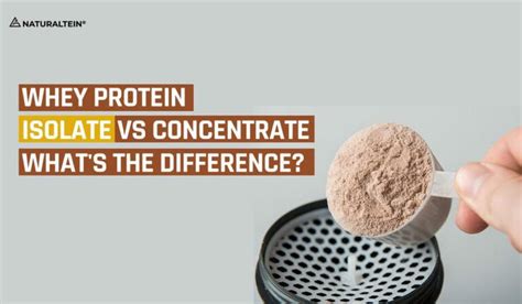 Whey Protein Isolate vs Concentrate: What’s the Difference? – naturaltein