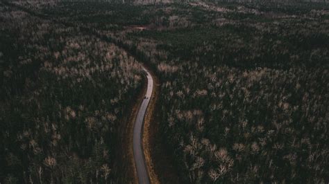 Download wallpaper 1600x900 road, trees, aerial view, turn widescreen ...