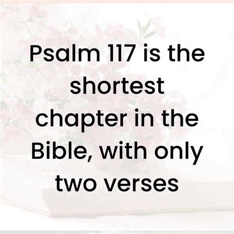 How the shortest chapter in the Bible can impact your faith walk!