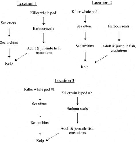 Local Food Web 的图像结果